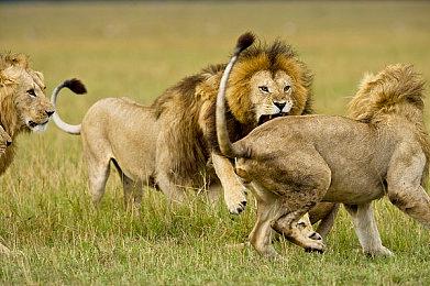 《第一后裔》官宣7月2日正式发售 游戏预告片欣赏