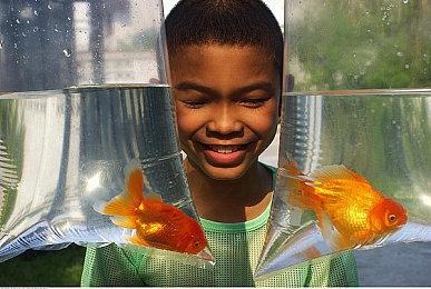 两款新游惊现任天堂商店 完全照抄《海贼王》风格引热议